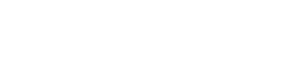 logo not found